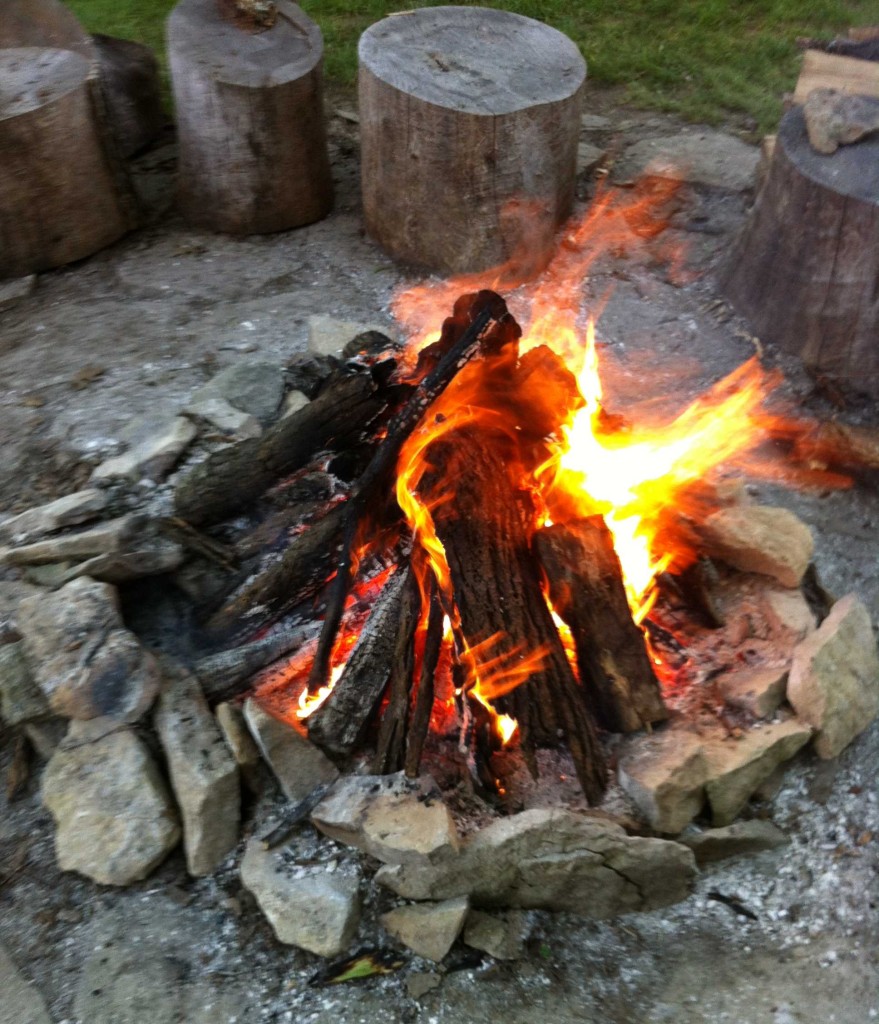 A hot, clean, safe, secure, and trustworthy Ash wood fire